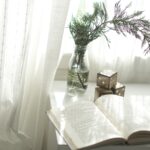 カーテンの黒カビ落としについて！洗濯方法や対策についてご紹介