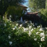 お線香について！お気に入りはカメヤマローソク「和遊　梔子の香り」