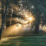 《大切な人の死》自分の余命を知っても笑顔の大切さを教えてくれた人